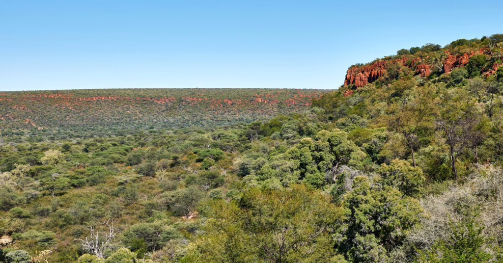Namibië-Waterplateau