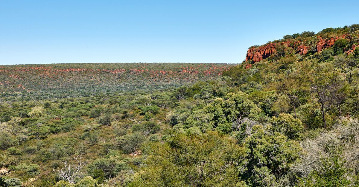 Namibië-Waterplateau