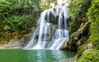 Op vakantie naar Costa Rica? Ontdek onze tips