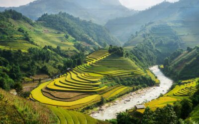 Reizen door Vietnam: van cultuur en steden tot stranden en natuur