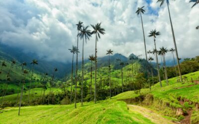 Rondreis door Colombia: Een land vol contrasten