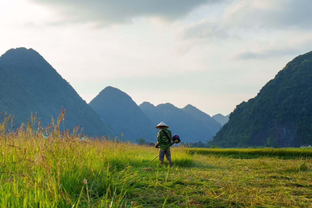 Bac Son Valley