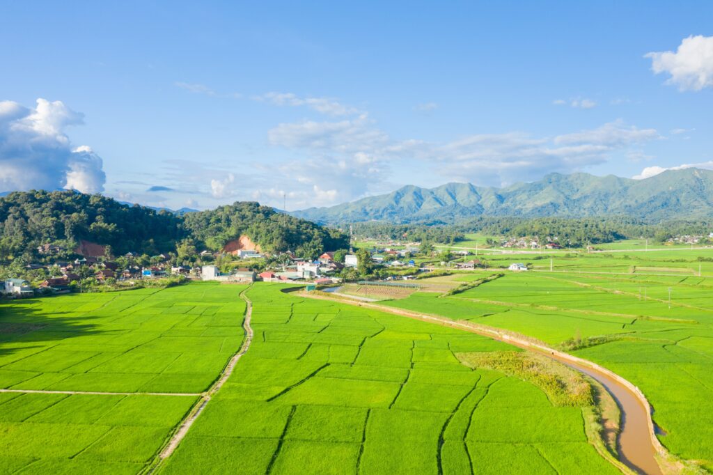 Dien Bien Phu