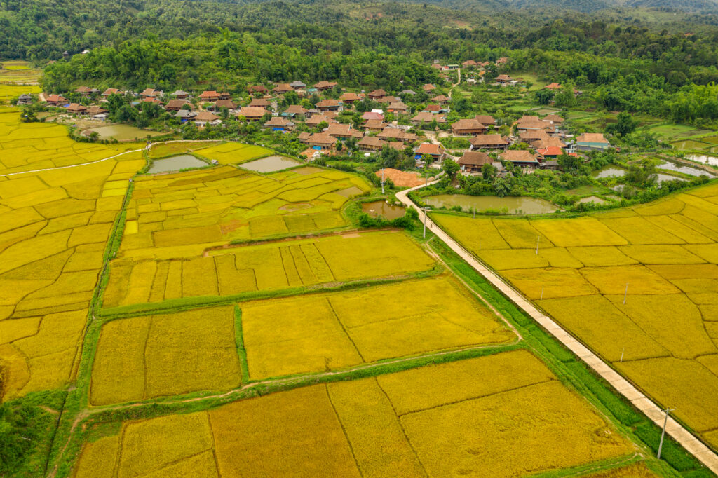 Dien Bien Phu