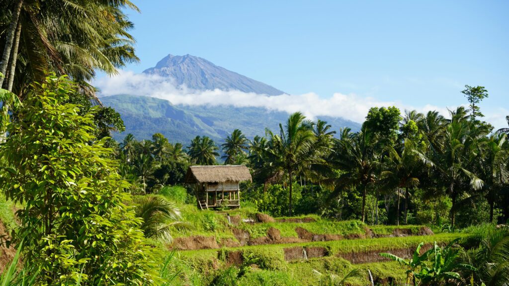 Tetebatu