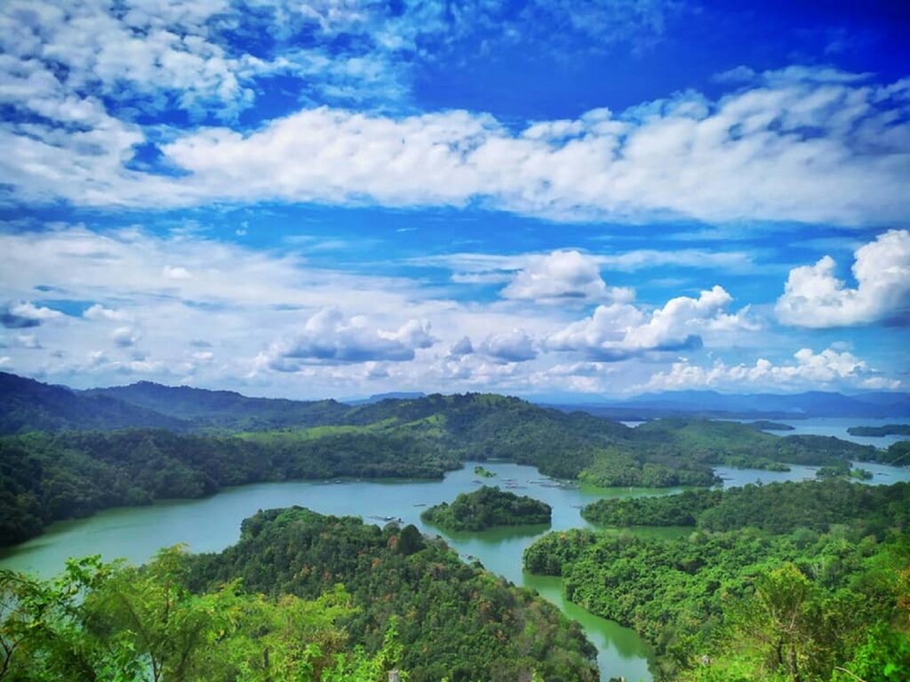 Tanjung Puting: orang-oetans