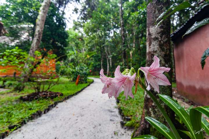 Palmarium Hotel Akanin’ny Nofy