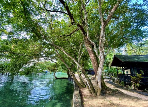The Village Bunaken Resort