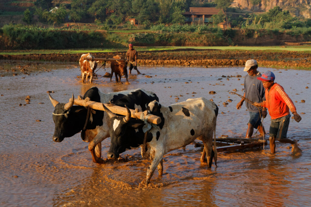 Antsirabe