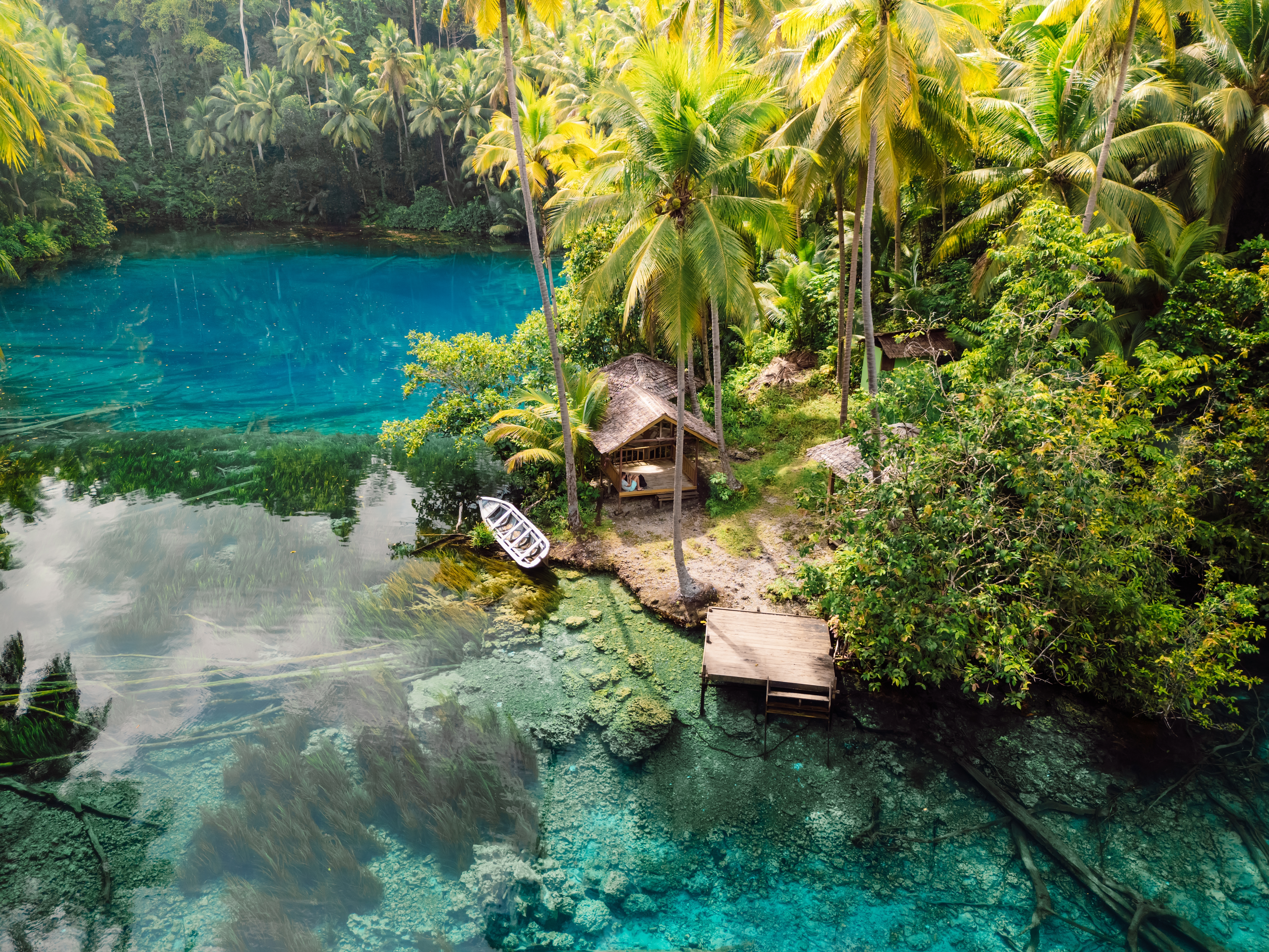 Ongerept Indonesië: Kalimantan (Borneo) & Sulawesi (Celebes)