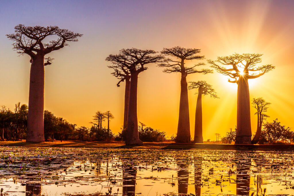 Morondava