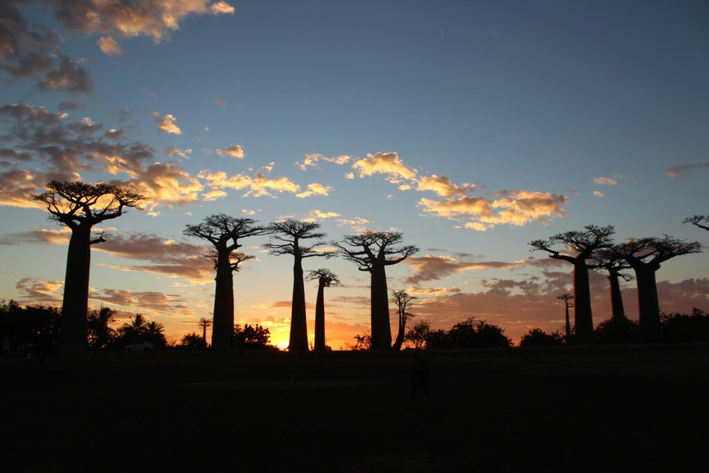 Morondava