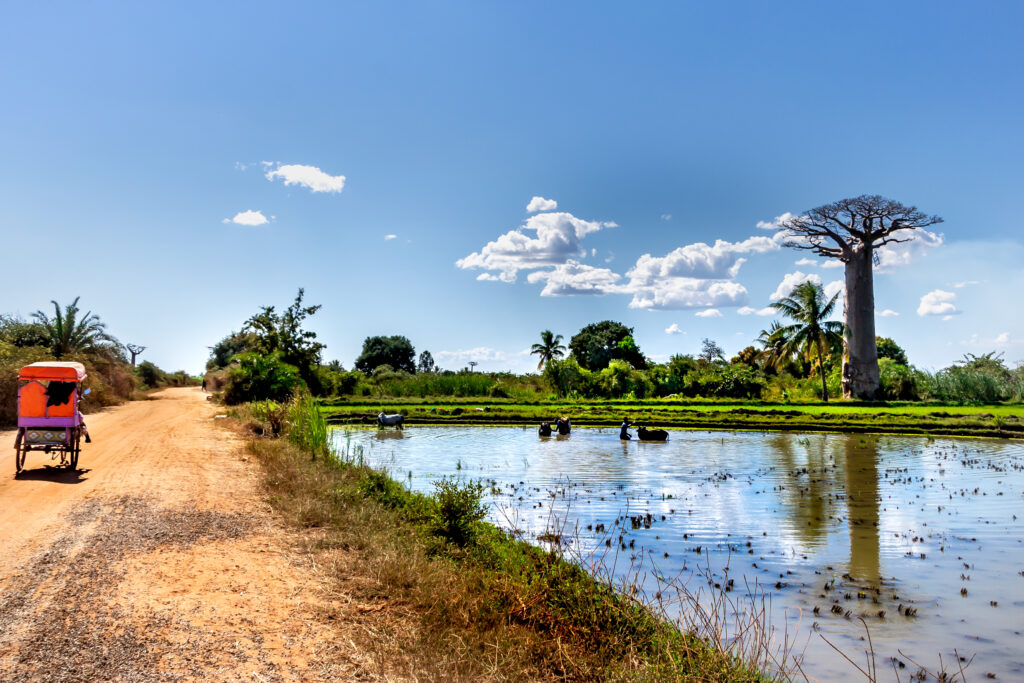 Morondava