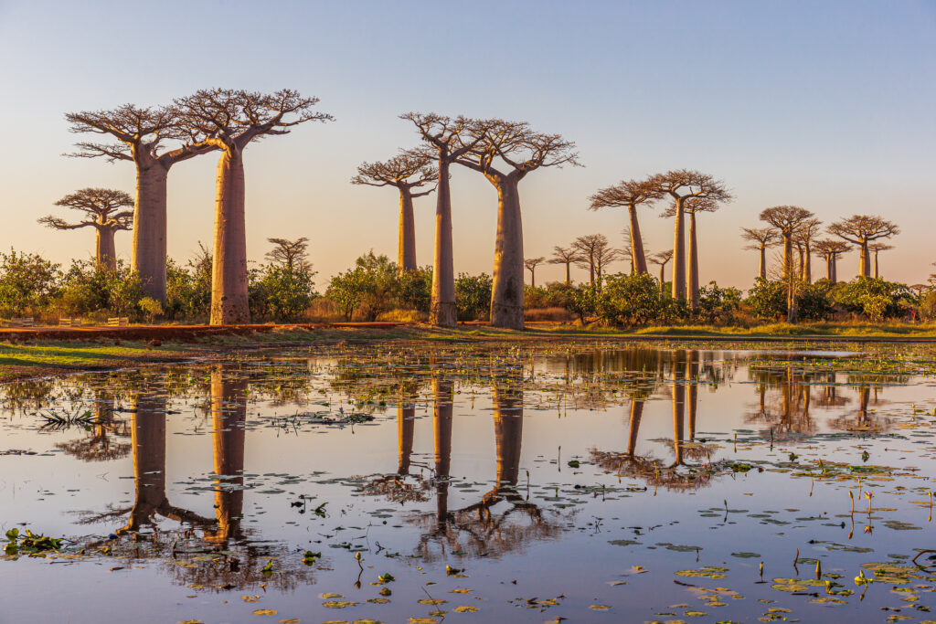 Morondava