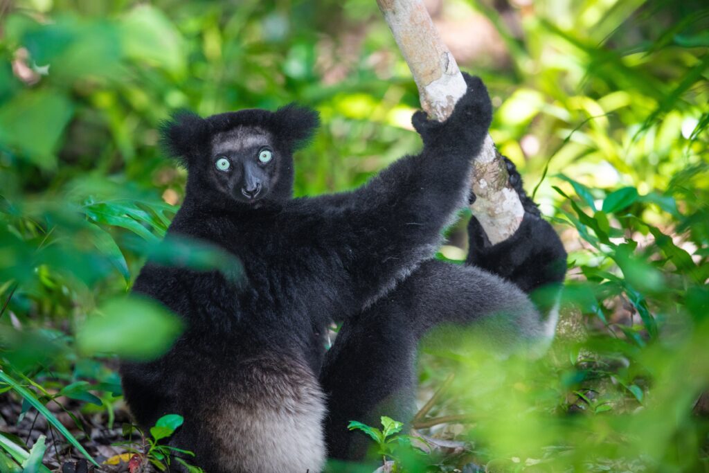 Akanin'ny Nofy Reserve