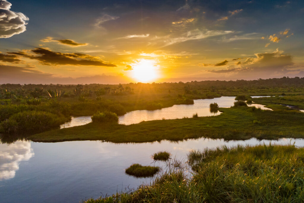 Akanin'ny Nofy Reserve