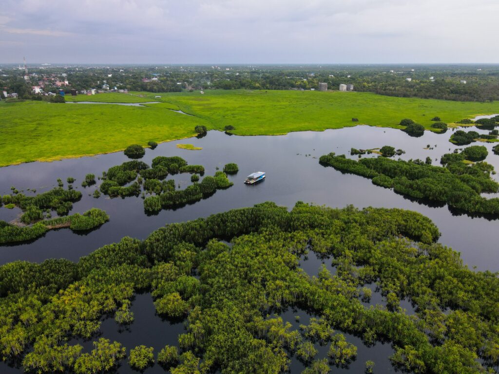 Sebangau National Park