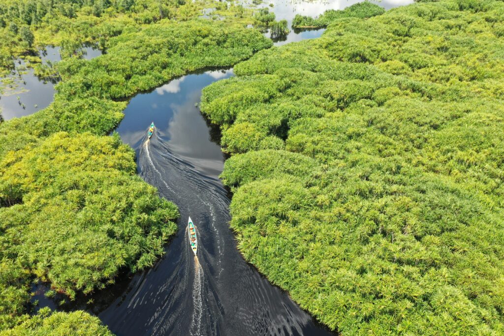 Sebangau National Park