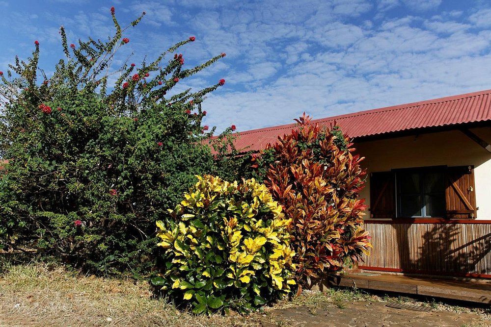 Le relais de l'ankarana