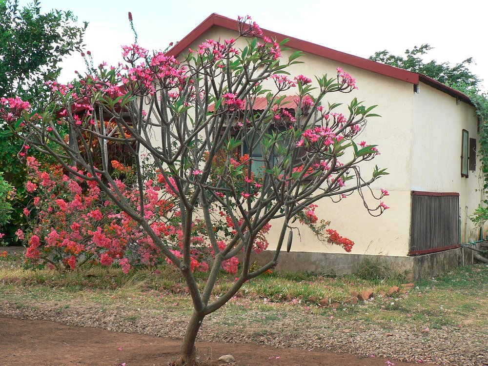 Le relais de l'ankarana