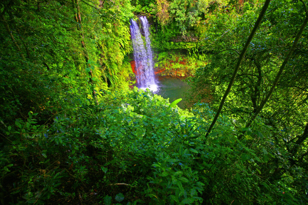 Ankarana Reserve