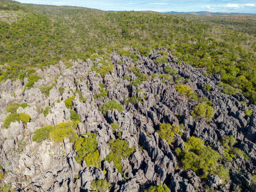 Ankarana Reserve