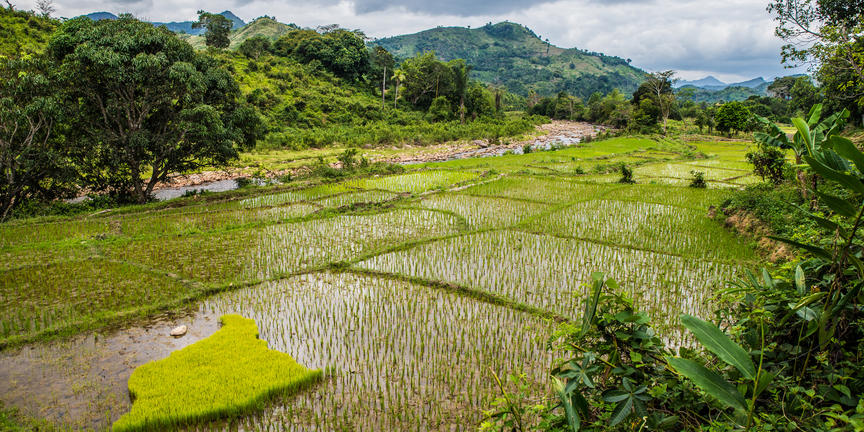 Marojejy Nature Reserve - 3 daagste trekking