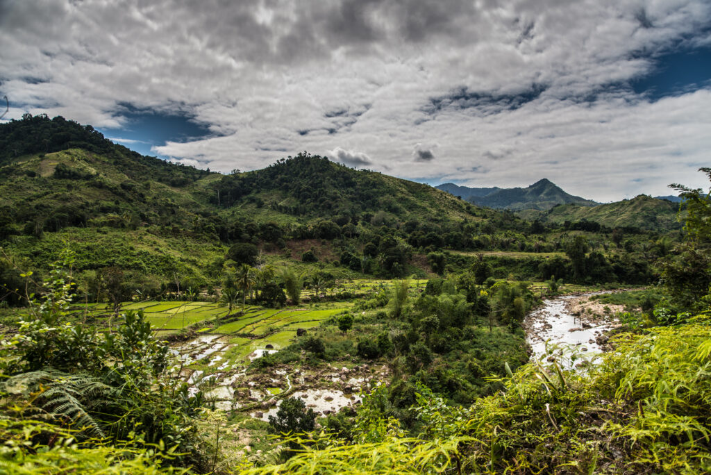 Marojejy Nature Reserve - 3 daagste trekking