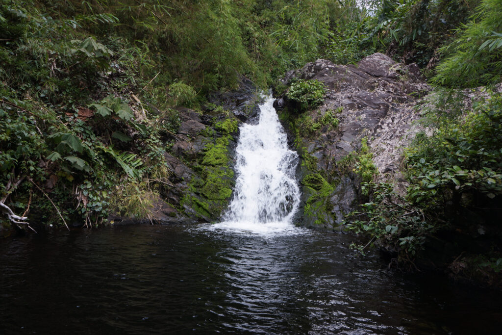 Marojejy Nature Reserve - 3 daagste trekking