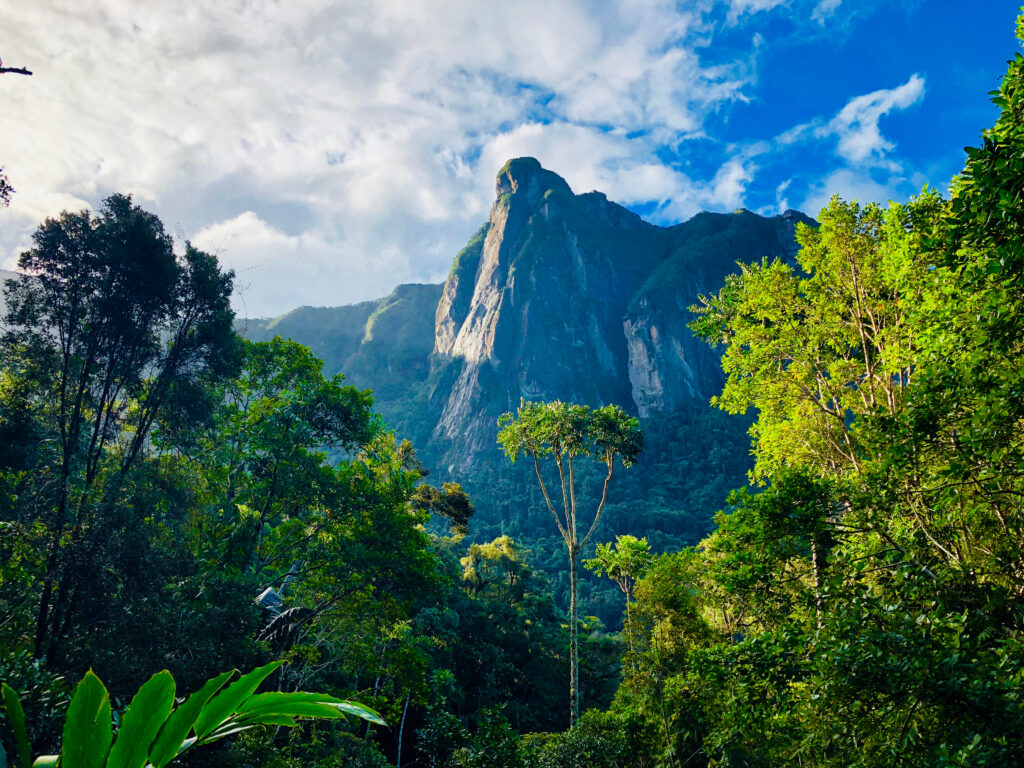 Marojejy Nature Reserve - 3 daagste trekking