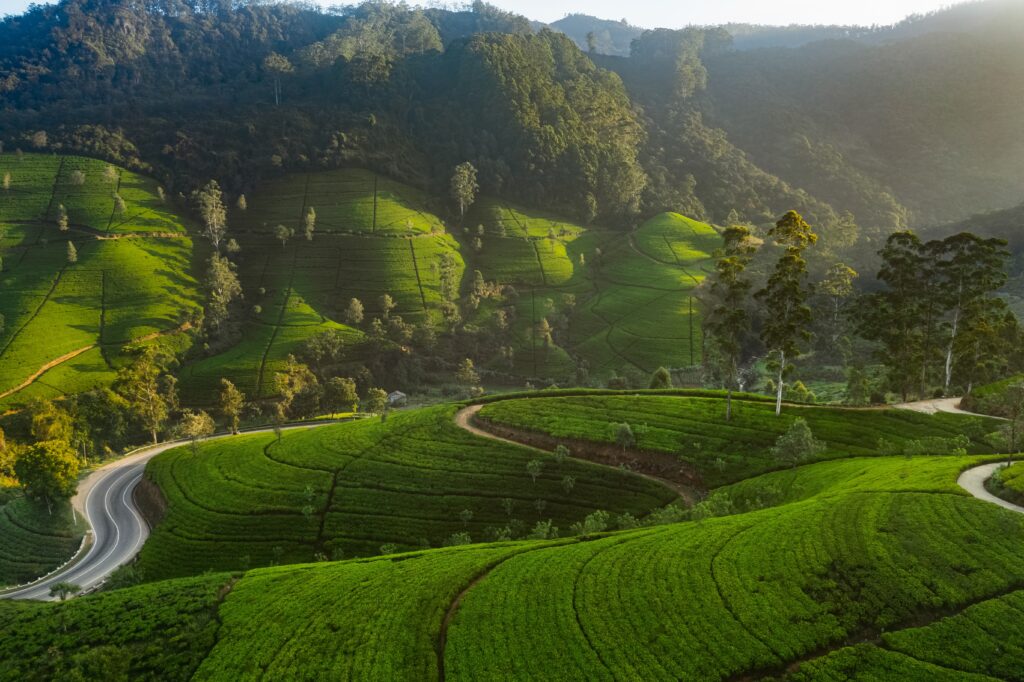 Bezoek deze hoogtepunten in Sri Lanka